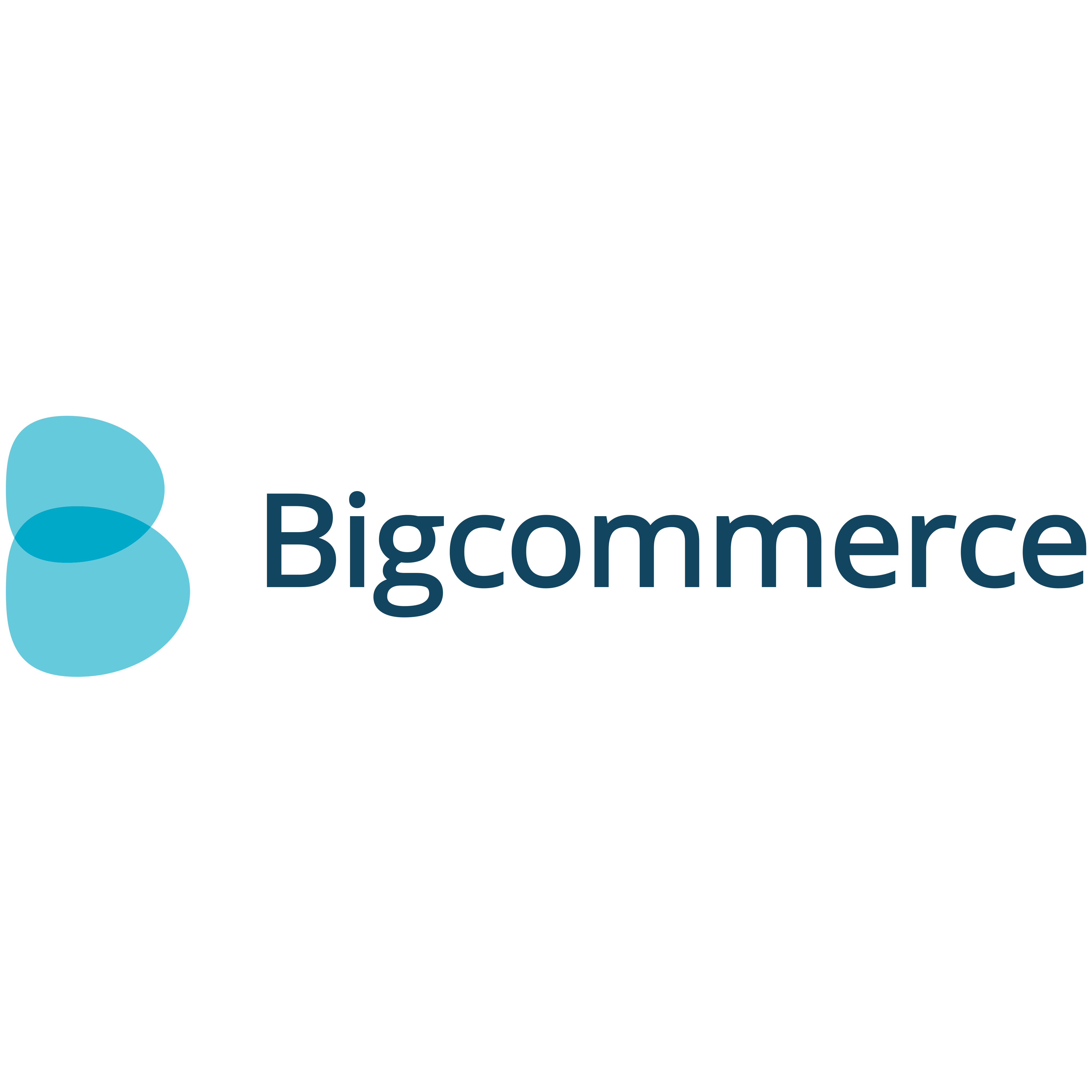 bigcommerce ecommerce development page